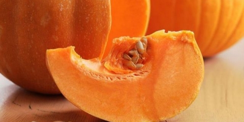 Kako hraniti bundevu na otvorenom polju